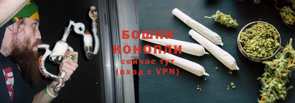 крисы Бронницы