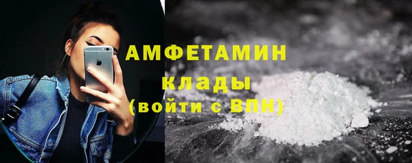 крисы Бронницы