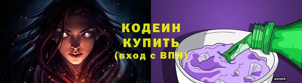 крисы Бронницы