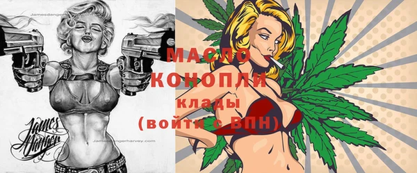 крисы Бронницы