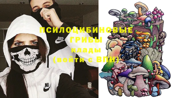 крисы Бронницы