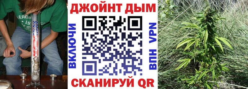 Канабис ГИДРОПОН Томмот